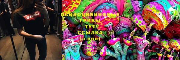 Альфа ПВП Вязьма