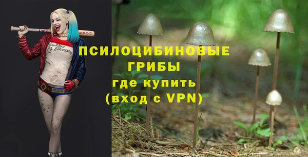 Альфа ПВП Вязьма